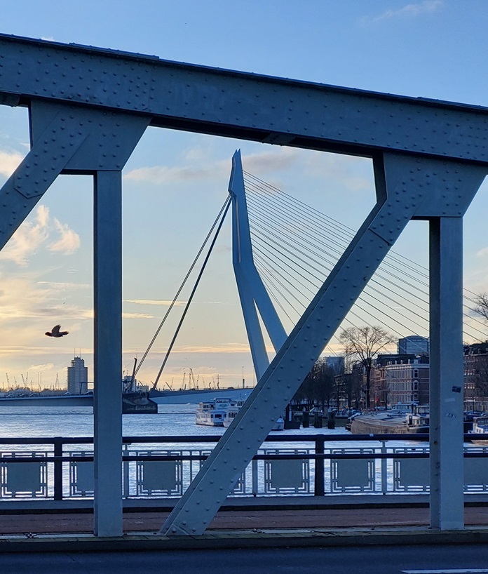 Rotterdam - Erasmusbrug - 2024